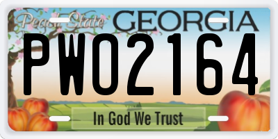 GA license plate PWO2164