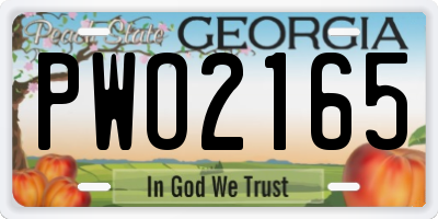 GA license plate PWO2165