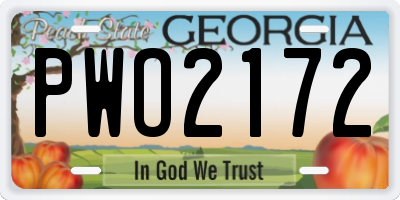 GA license plate PWO2172