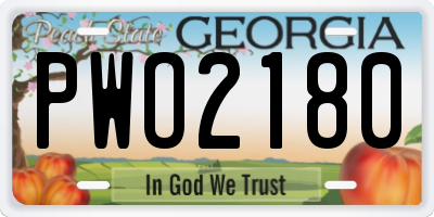 GA license plate PWO2180