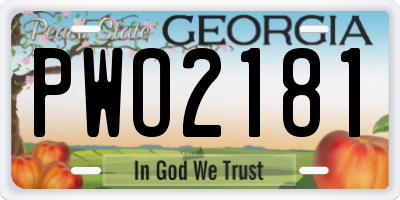 GA license plate PWO2181