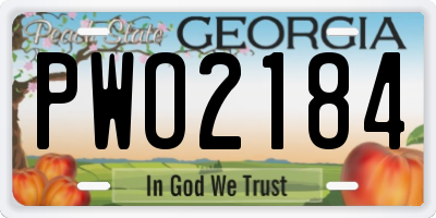 GA license plate PWO2184