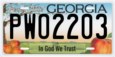 GA license plate PWO2203