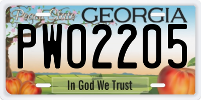 GA license plate PWO2205