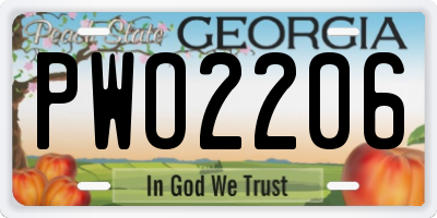 GA license plate PWO2206