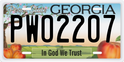 GA license plate PWO2207
