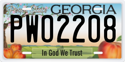 GA license plate PWO2208