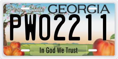 GA license plate PWO2211