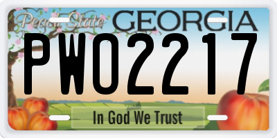 GA license plate PWO2217