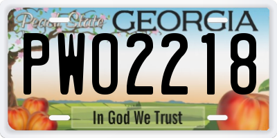 GA license plate PWO2218