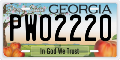 GA license plate PWO2220