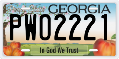 GA license plate PWO2221
