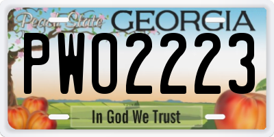 GA license plate PWO2223