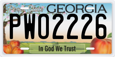 GA license plate PWO2226