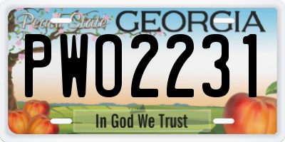 GA license plate PWO2231