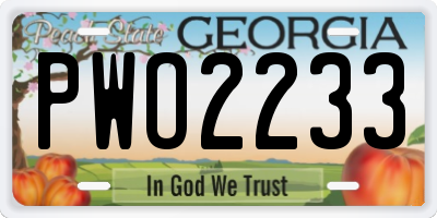 GA license plate PWO2233