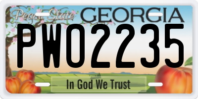 GA license plate PWO2235