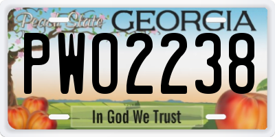 GA license plate PWO2238
