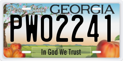 GA license plate PWO2241