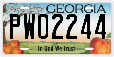 GA license plate PWO2244