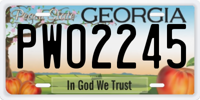 GA license plate PWO2245