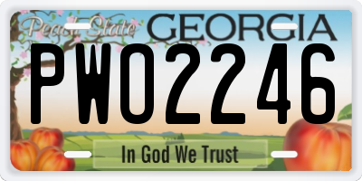GA license plate PWO2246