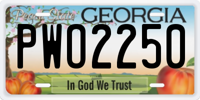 GA license plate PWO2250