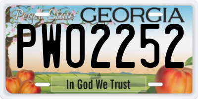 GA license plate PWO2252