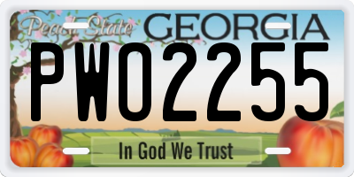 GA license plate PWO2255
