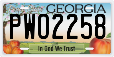 GA license plate PWO2258