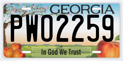 GA license plate PWO2259
