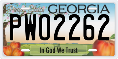 GA license plate PWO2262