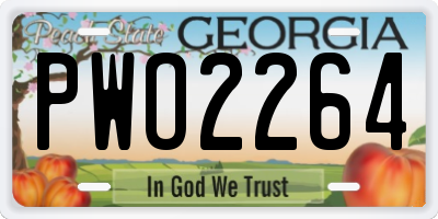 GA license plate PWO2264
