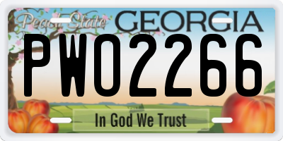 GA license plate PWO2266