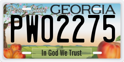 GA license plate PWO2275