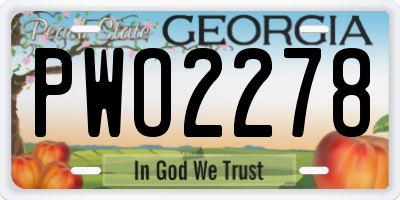 GA license plate PWO2278