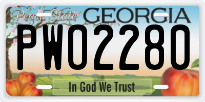 GA license plate PWO2280