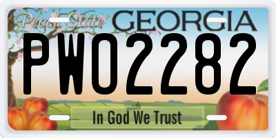 GA license plate PWO2282