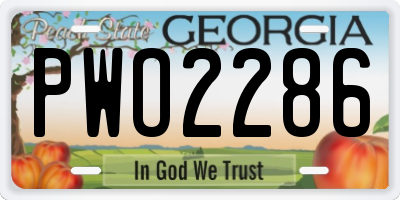 GA license plate PWO2286