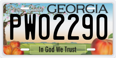 GA license plate PWO2290