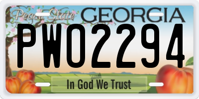 GA license plate PWO2294
