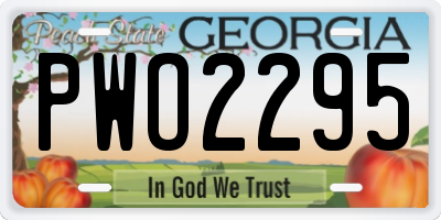 GA license plate PWO2295