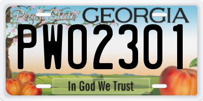 GA license plate PWO2301