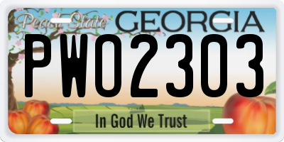GA license plate PWO2303