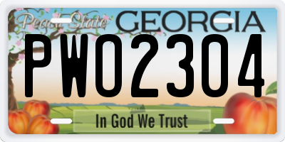 GA license plate PWO2304