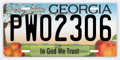 GA license plate PWO2306