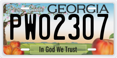 GA license plate PWO2307