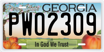 GA license plate PWO2309