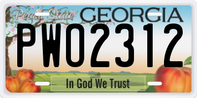 GA license plate PWO2312