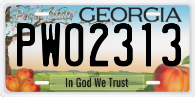 GA license plate PWO2313